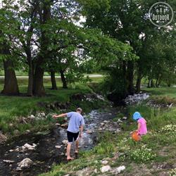 Nature Explorers Camp