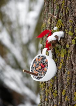 Upcycled Suet Bird Feeders