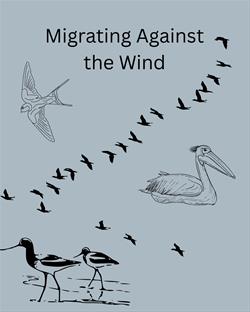 Migrating Against the Wind