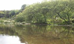 Youth Day Camp Magic in the Water
