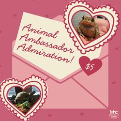Ambassador Animal Admiration (Valentines Day Fundraiser)