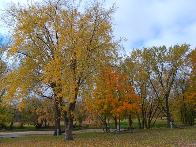 Gouldsburg Campground