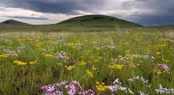 Jackson County Prairie on Private Lands Workshop