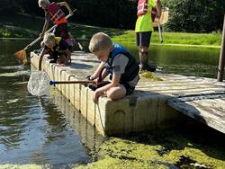 Tadpole Camp 2026 - entering 1-2