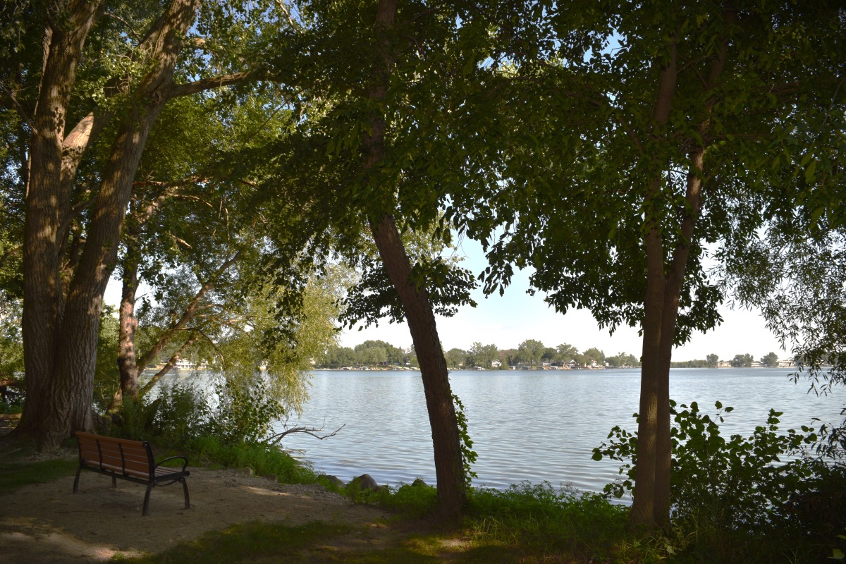 Overlooking the Lake