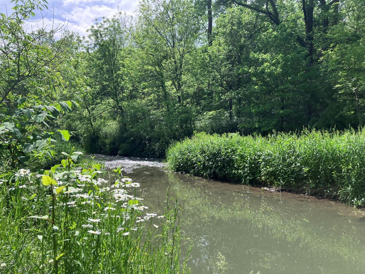 Big Paint Creek