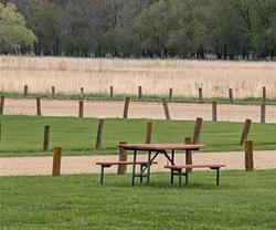 Picnicking