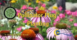 Pollinator Plug Planting