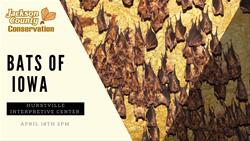 Bats of Iowa