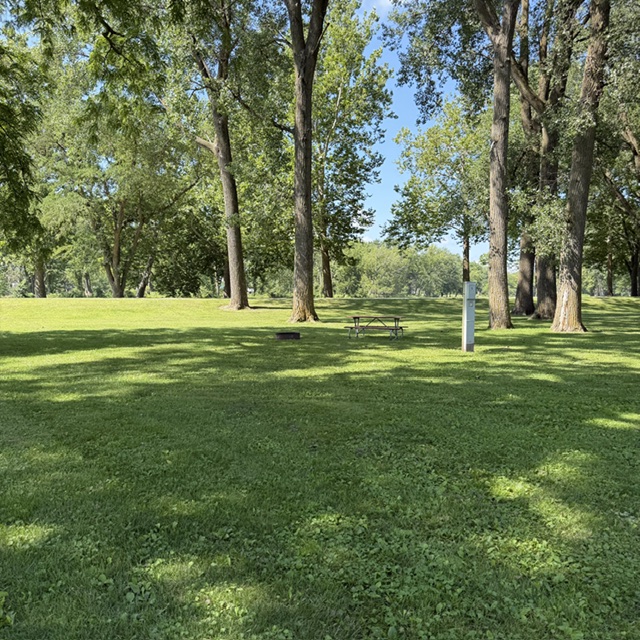 Beaver Meadows Site 09 - Non-Reservable