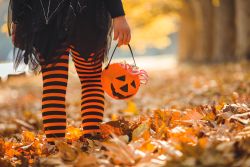 Wickiup Fall Fest