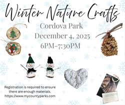 Winter Nature Crafts