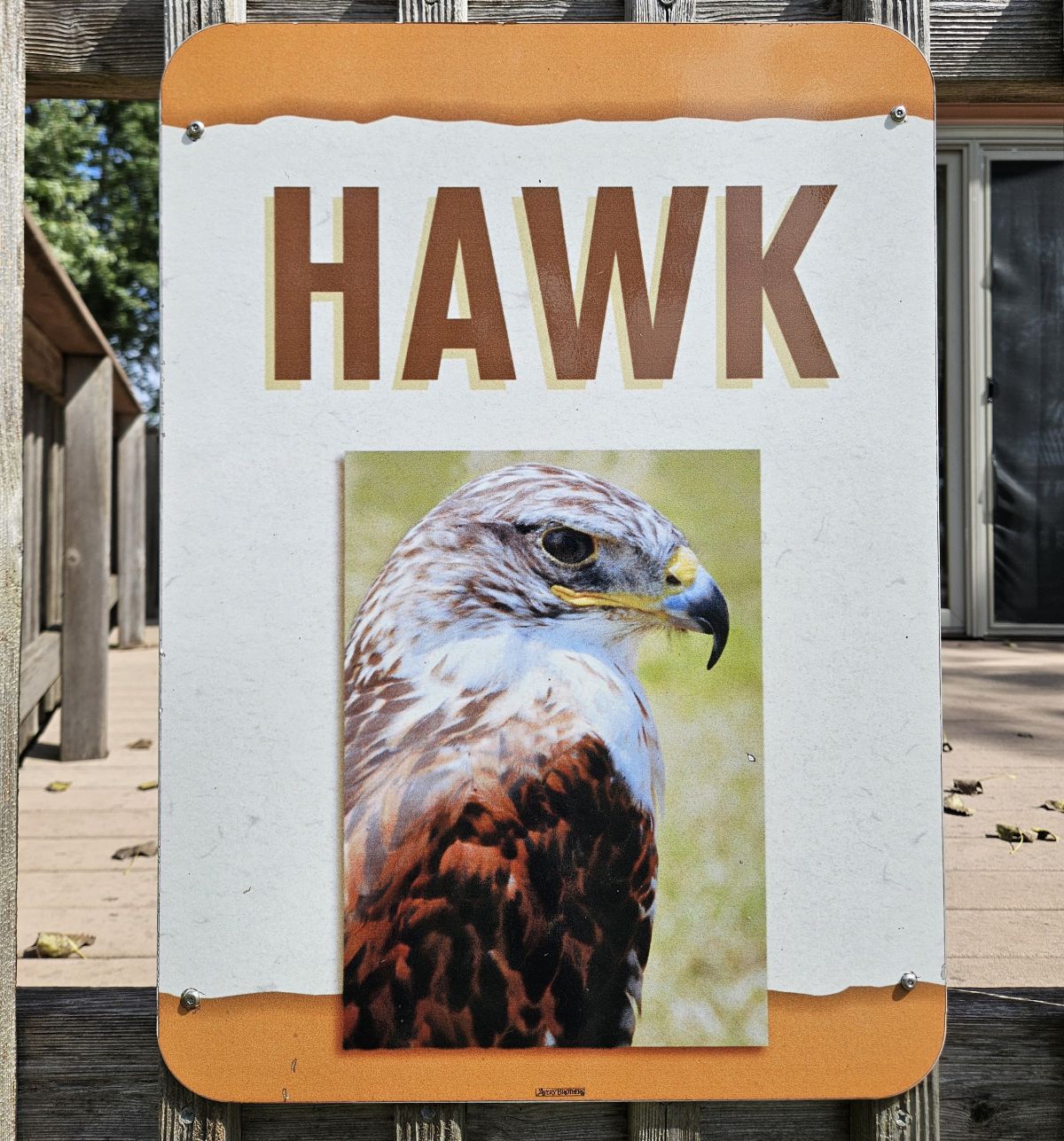 Hawk