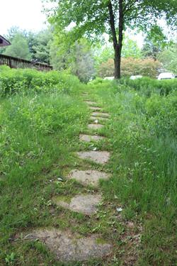 Discovery: Outdoor Survival Skills