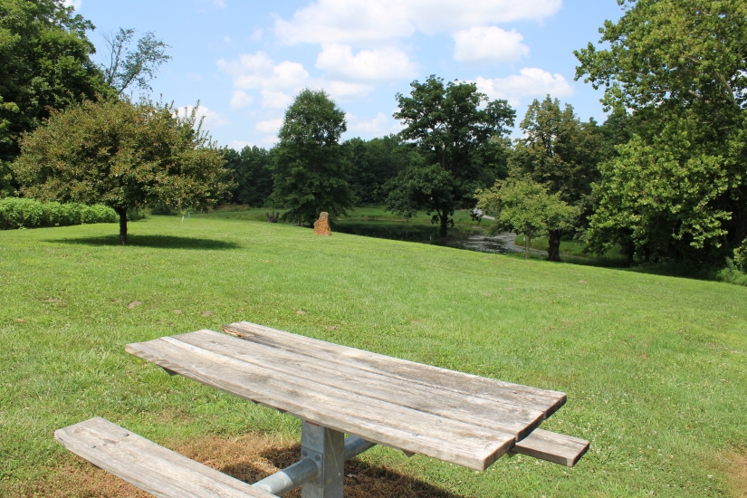 Bench by parking lot