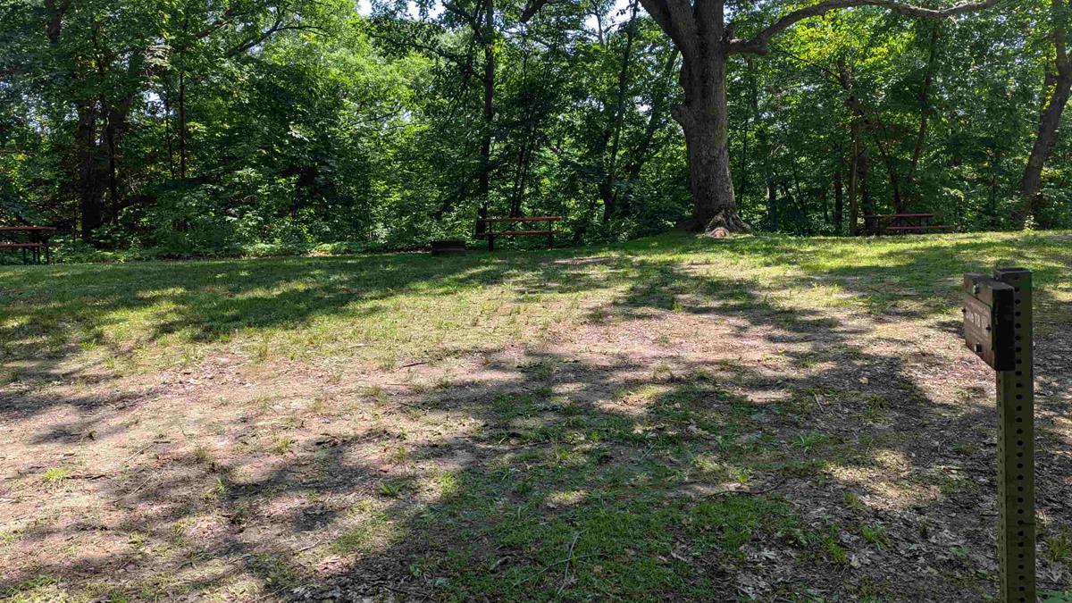 Swede Point Park Tent Site 8