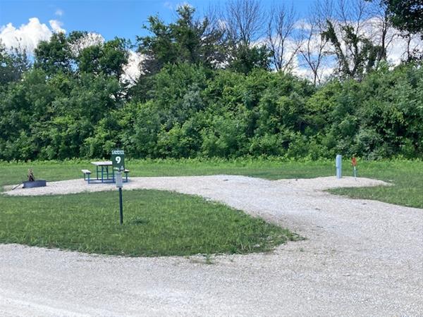 ELP #09 Eastern Red Cedar Campsite