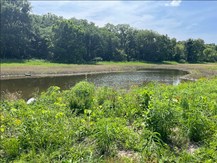 Oxbow Wetland