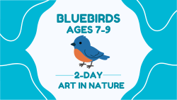 Summer Camp - Bluebirds (Age 7-9) July 23-24