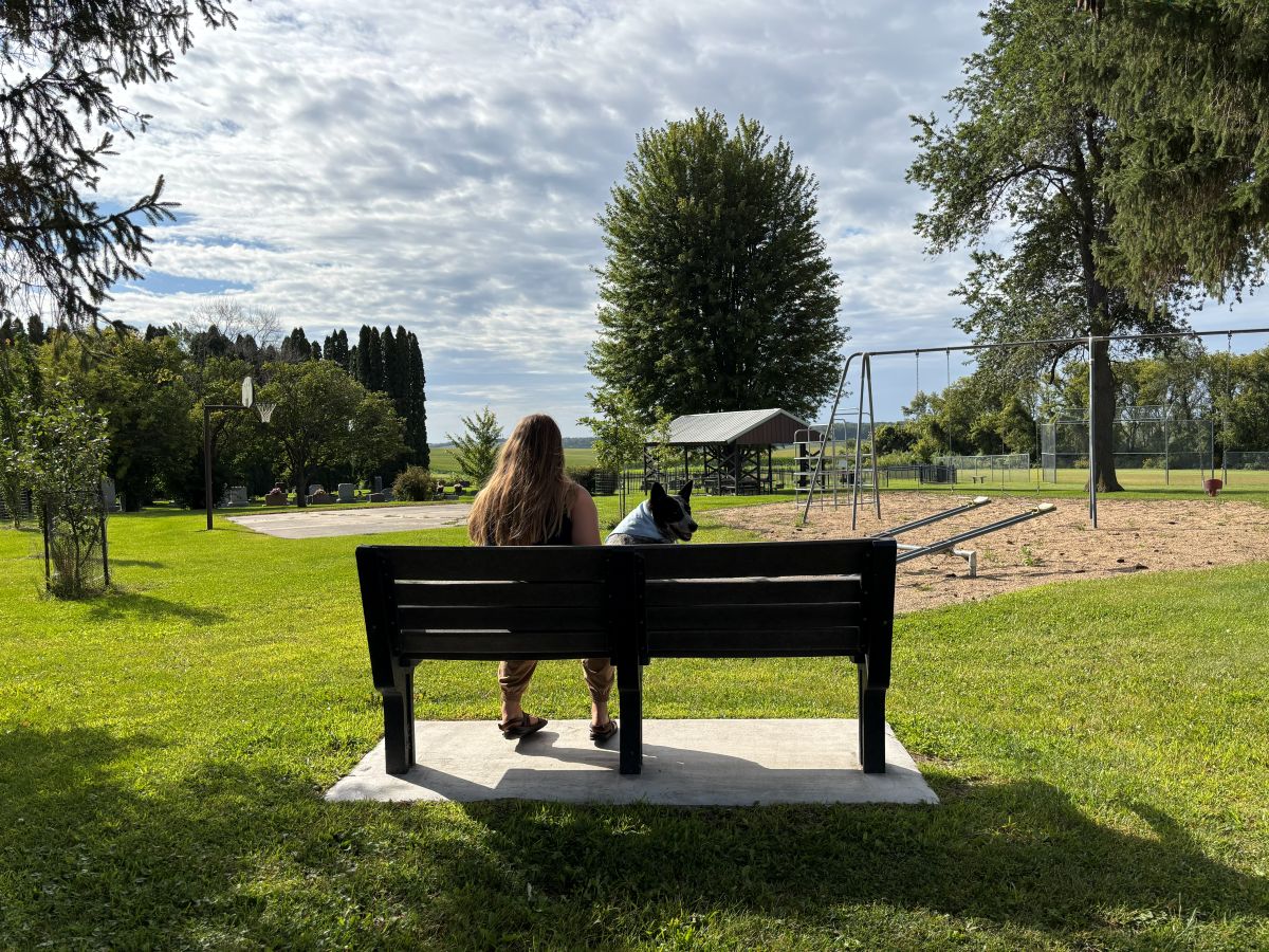 Frankville Park Bench