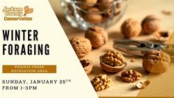 Winter Foraging Class