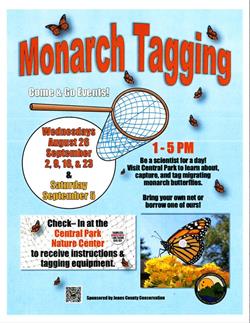 Monarch Tagging