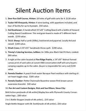 Silent Auction Items