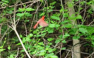 Fall Smoke Signals is HERE!!