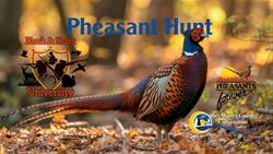 HHU- Pheasant Hunt