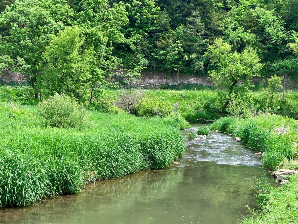 Paint Creek at Kolsrud