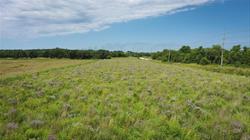 Buffalo Creek Natural Area